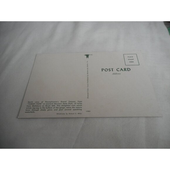 Vintage Postcard unposted Grand Canyon Pennsylvania fall nature 1950s - Picture 2 of 2